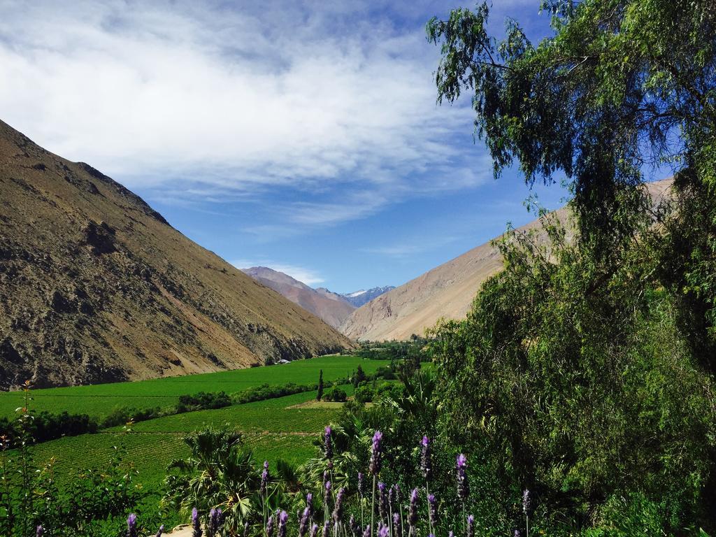 مبيت وإفطار بيسكو إلكي Refugio Misterios Del Elqui المظهر الخارجي الصورة