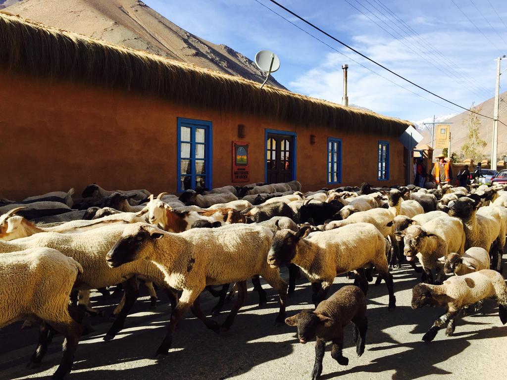 مبيت وإفطار بيسكو إلكي Refugio Misterios Del Elqui المظهر الخارجي الصورة