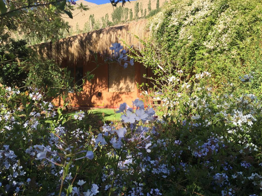 مبيت وإفطار بيسكو إلكي Refugio Misterios Del Elqui المظهر الخارجي الصورة