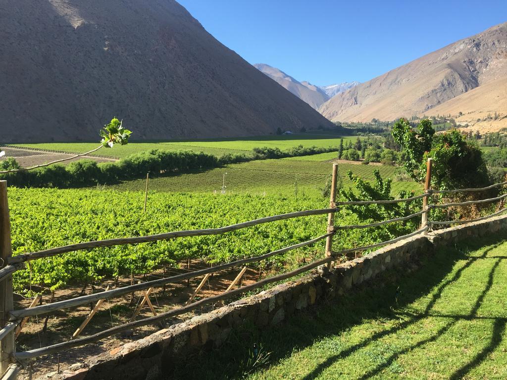 مبيت وإفطار بيسكو إلكي Refugio Misterios Del Elqui المظهر الخارجي الصورة