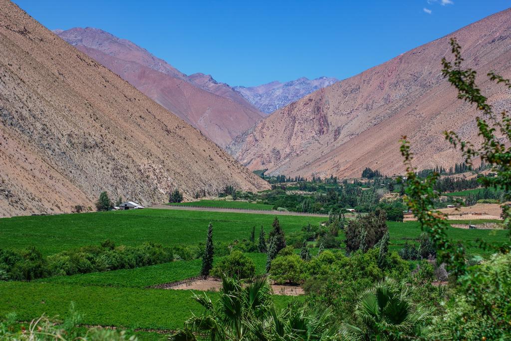 مبيت وإفطار بيسكو إلكي Refugio Misterios Del Elqui المظهر الخارجي الصورة